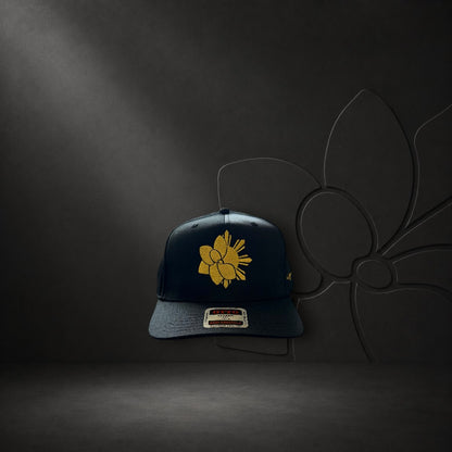 KA'EO Apparel black snapback cap featuring gold Sampa-Sol symbol embroidery and heritage script on a dark background.