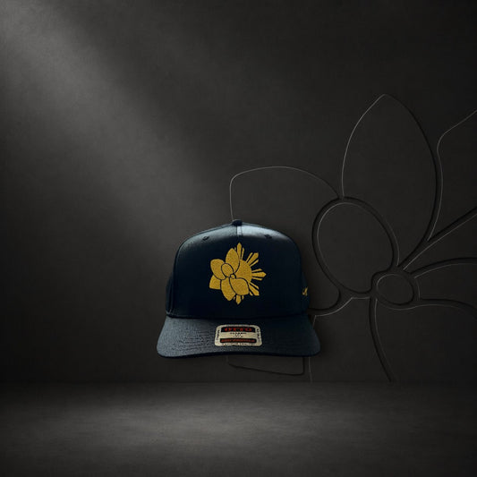 KA'EO Apparel black snapback cap featuring gold Sampa-Sol symbol embroidery and heritage script on a dark background.
